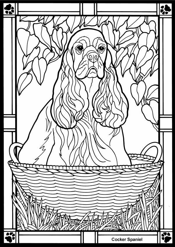 Stained Glass Coloring Books For Adults
 Dover Stained Glass Coloring Pages