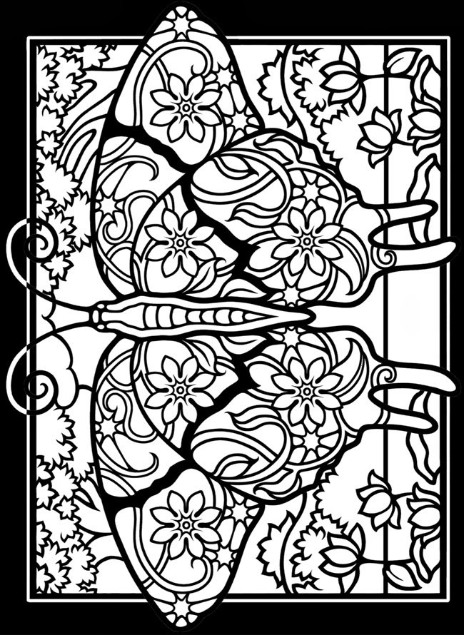 Stained Glass Coloring Books For Adults
 EXPOSE HOMELESSNESS FANCY STAINED GLASS WINDOW BUTTERFLY
