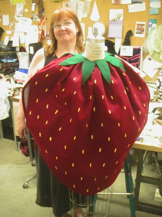 Strawberry Costume DIY
 Strawberry costume nice pattern to follow when making