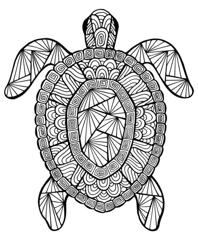 Summer Coloring Pages Free Printable
 12 Free Printable Adult Coloring Pages for Summer