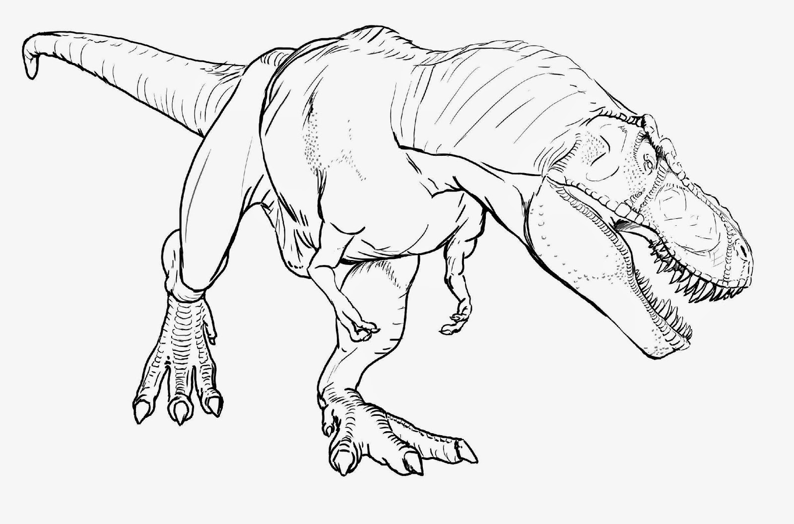 T Rex Printable Coloring Pages
 T Rex Dinosaur Coloring Pages high quality