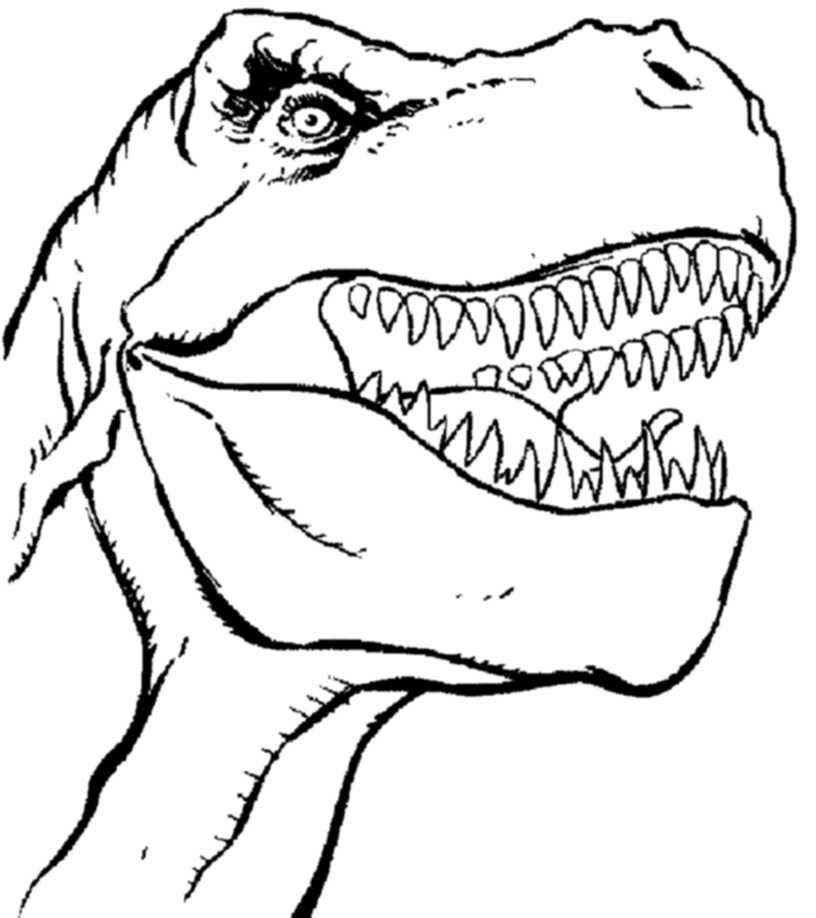 T Rex Printable Coloring Pages
 Tyrannosaurus Rex Head Coloring Pages in 2019