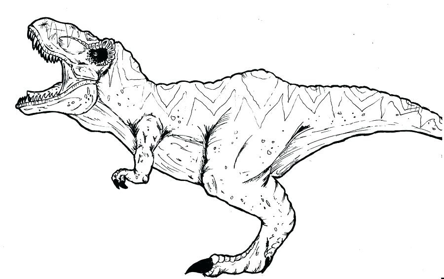 T Rex Printable Coloring Pages
 Triceratops Vs Tyrannosaurus Rex Coloring Pages
