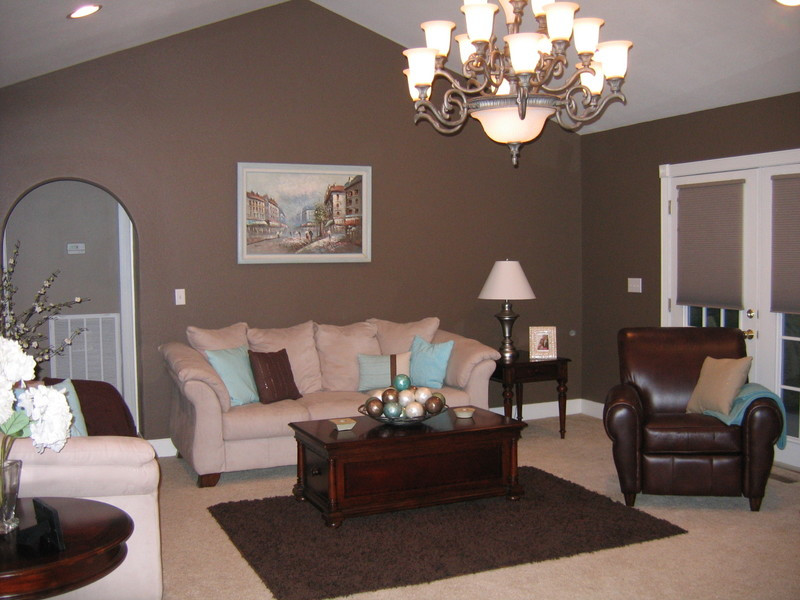 Taupe Living Room Walls
 Manly bedroom brown living room wall color schemes living