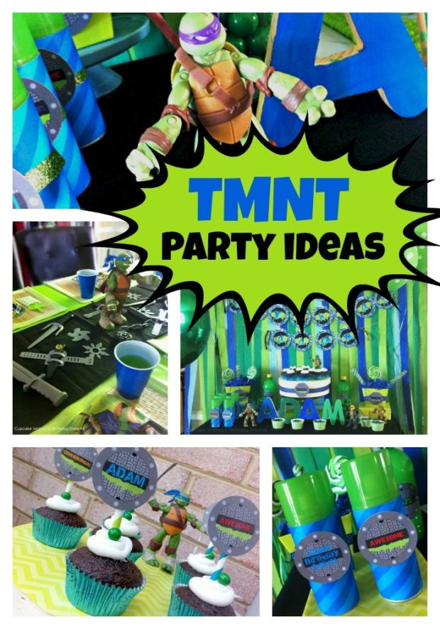 Teenage Mutant Ninja Turtles Birthday Party Supplies
 Teenage Mutant Ninja Turtles Birthday Party