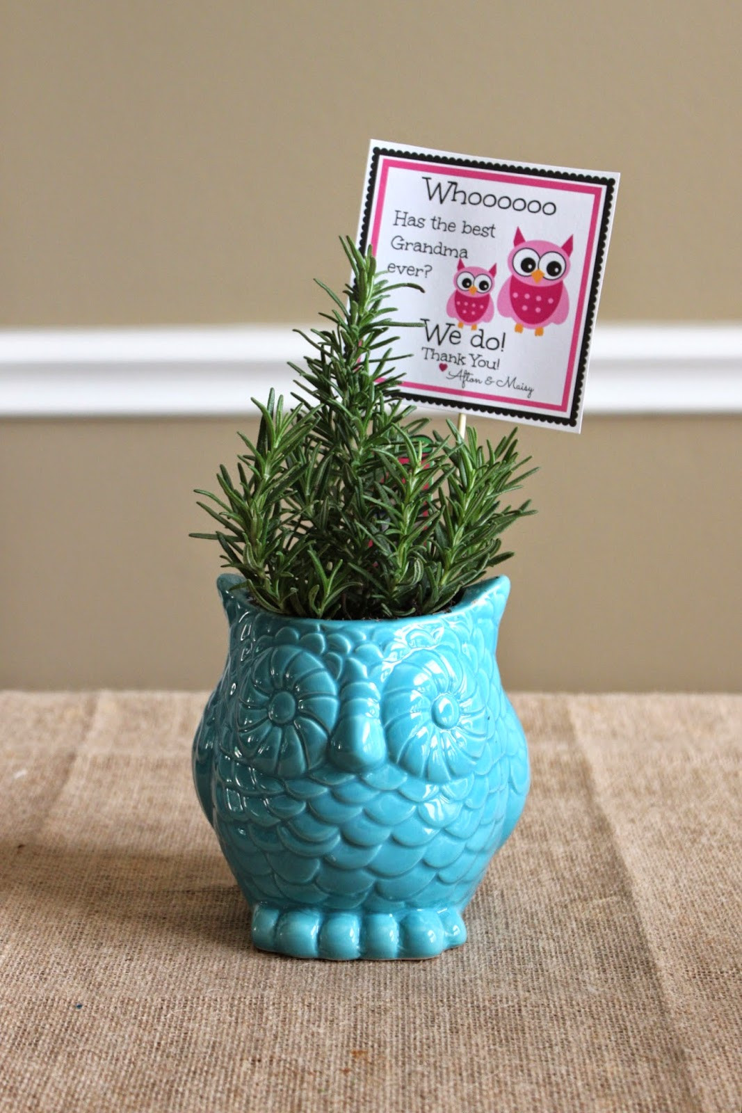 Texas Gifts For Kids
 Crafty Texas Girls DIY Gift Idea with an Owl Printable