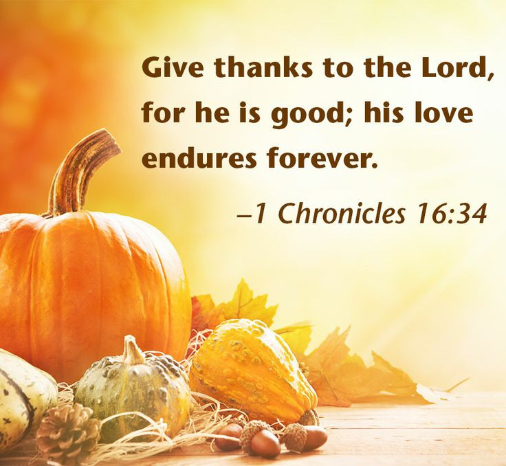 Thanksgiving Quotes Bible
 Pin on Well Versed