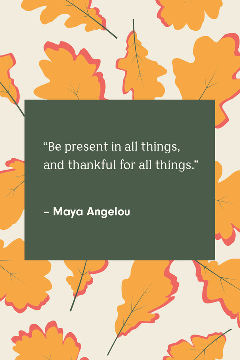 Thanksgiving Quotes Cute
 32 Best Happy Thanksgiving Quotes Sayings About Gratitude