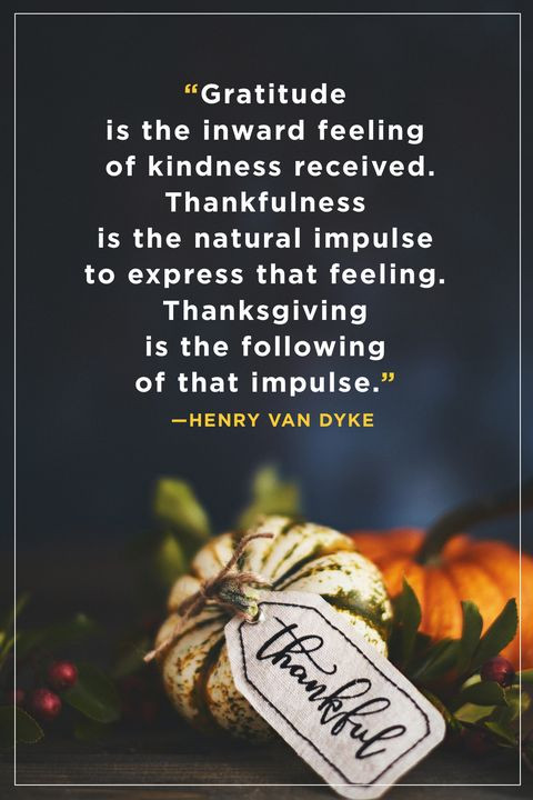 Thanksgiving Quotes For Clients
 70 Best Thanksgiving Quotes Happy Thanksgiving Toast Ideas