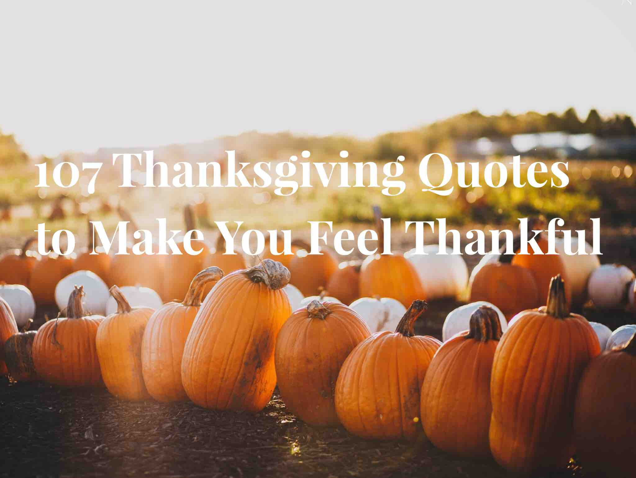 Thanksgiving Quotes Thankful
 107 Thanksgiving Quotes to Make You Feel Thankful