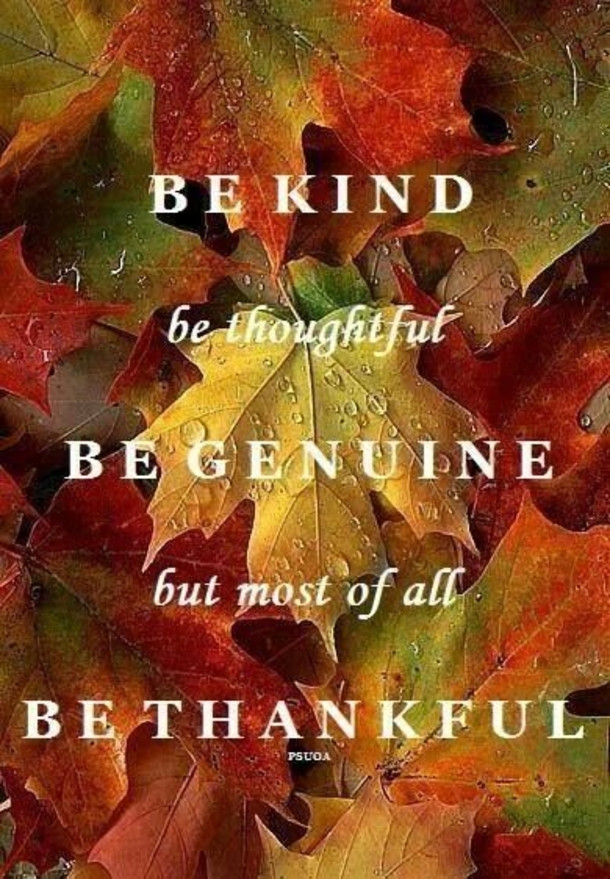 Thanksgiving Quotes Thankful
 23 Thanksgiving Quotes Being Thankful And Gratitude