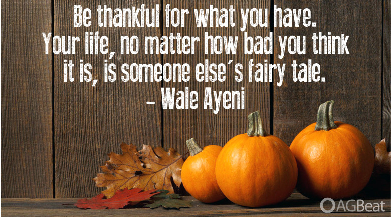 Thanksgiving Quotes Thankful
 10 Thanksgiving quotes as pictures to share on your social