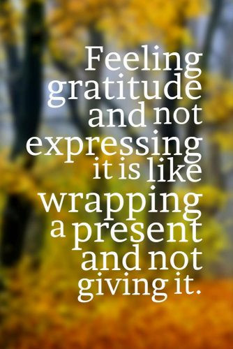 Thanksgiving Quotes Thankful
 33 Inspirational Thanksgiving Quotes