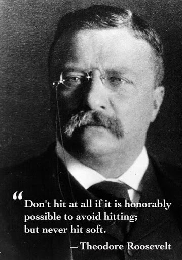 Theodore Roosevelt Quotes On Leadership
 50 Best Theodore Roosevelt Quotes about Success