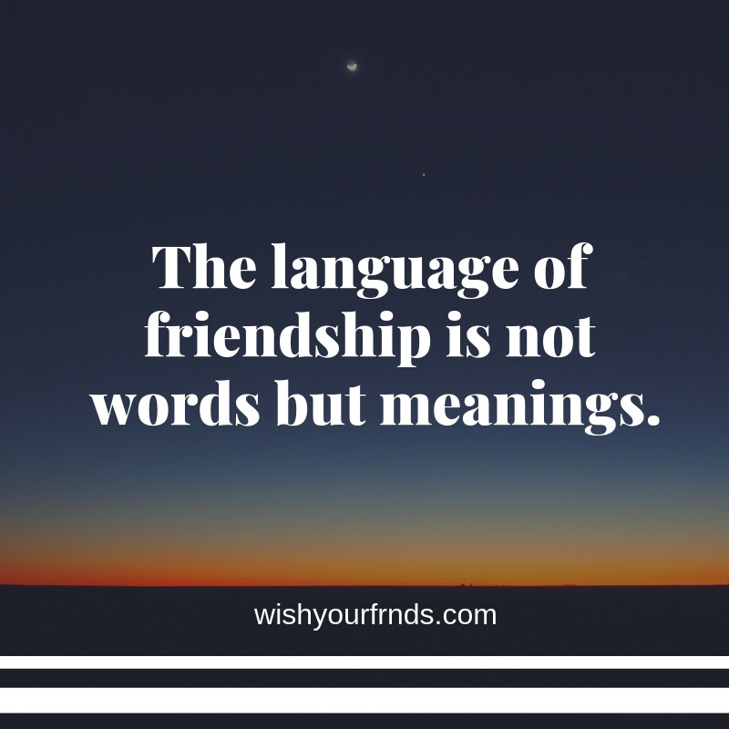True Meaning Of Friendship Quotes
 Top 10 True Friendship Quotes in 2019 and the meaning of