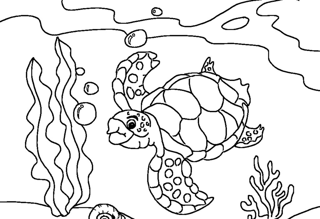 Turtle Coloring Pages For Kids
 Free Printable Sea Turtle Coloring Pages For Kids