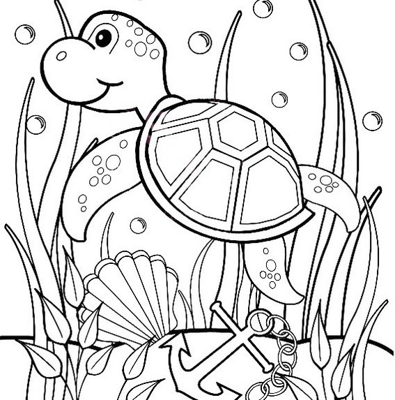 Turtle Coloring Pages For Kids
 sea turtle coloring sheet with beautiful undersea scenery