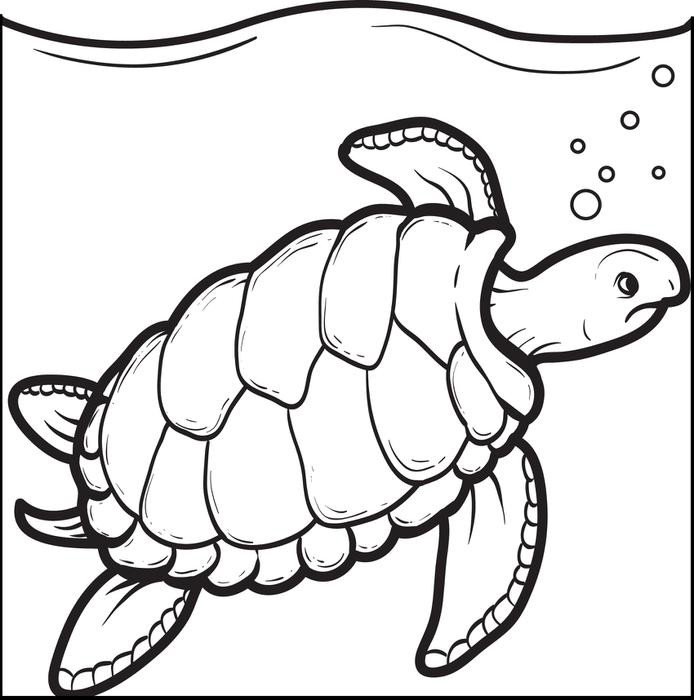 Turtle Coloring Pages For Kids
 Sea Turtle Drawing For Kids at GetDrawings