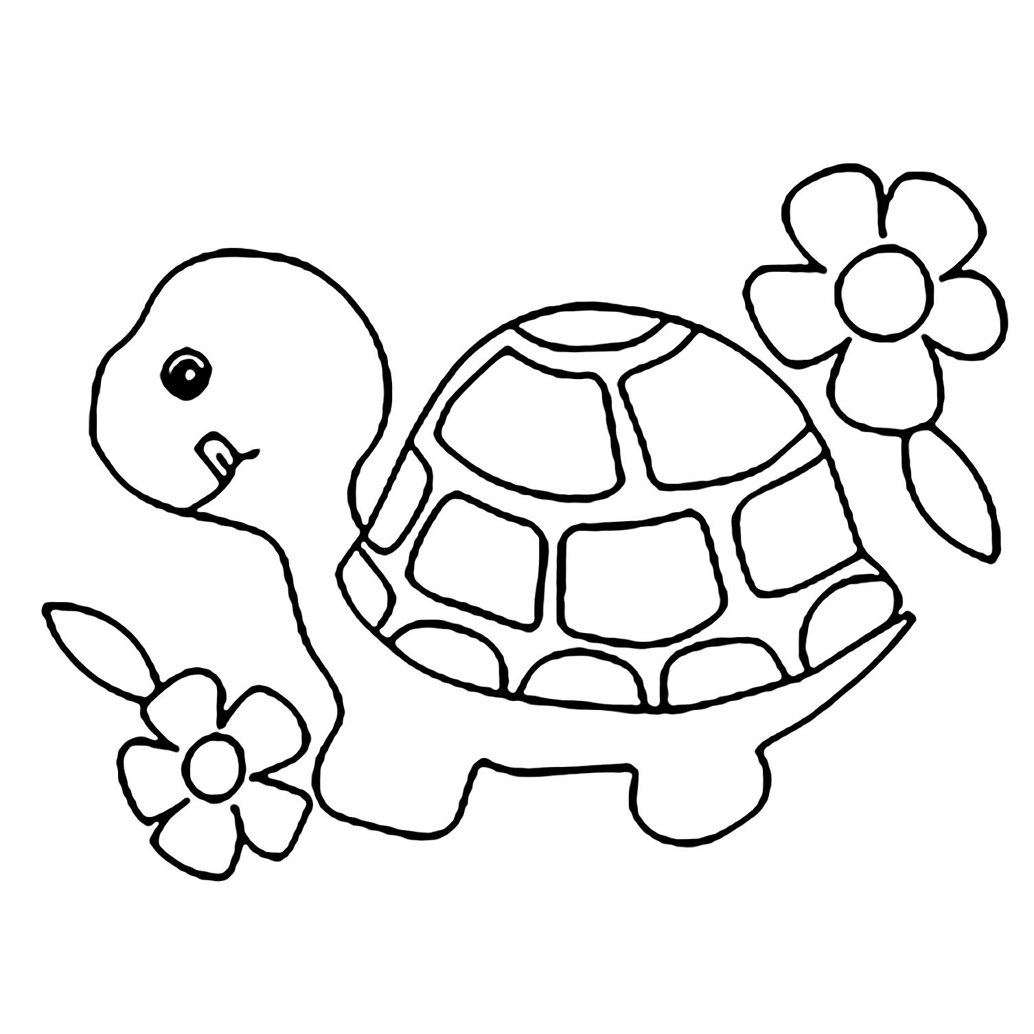 Turtle Coloring Pages For Kids
 Turtles to for free Turtles Kids Coloring Pages