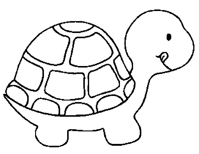 Turtle Coloring Pages For Kids
 Turtle coloring