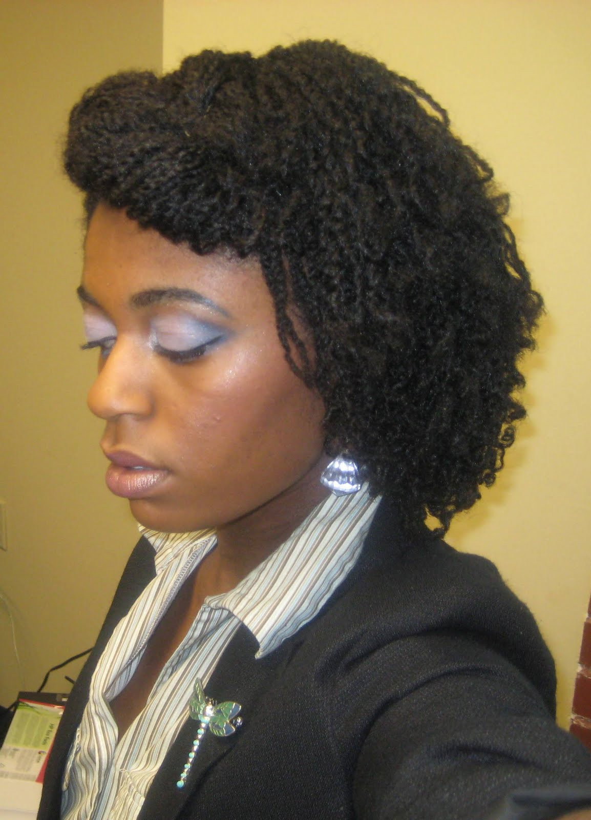 Twist Hairstyle For Natural Hair
 Naturally Elegant Hairstyle Mini Twists