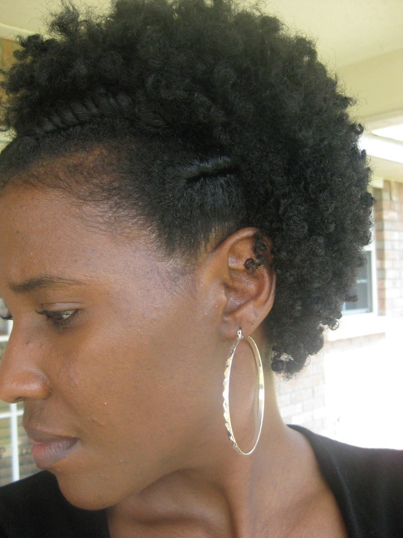 Twist Hairstyles On Natural Hair
 Top 10 Image of Twist Hairstyles For Natural Hair
