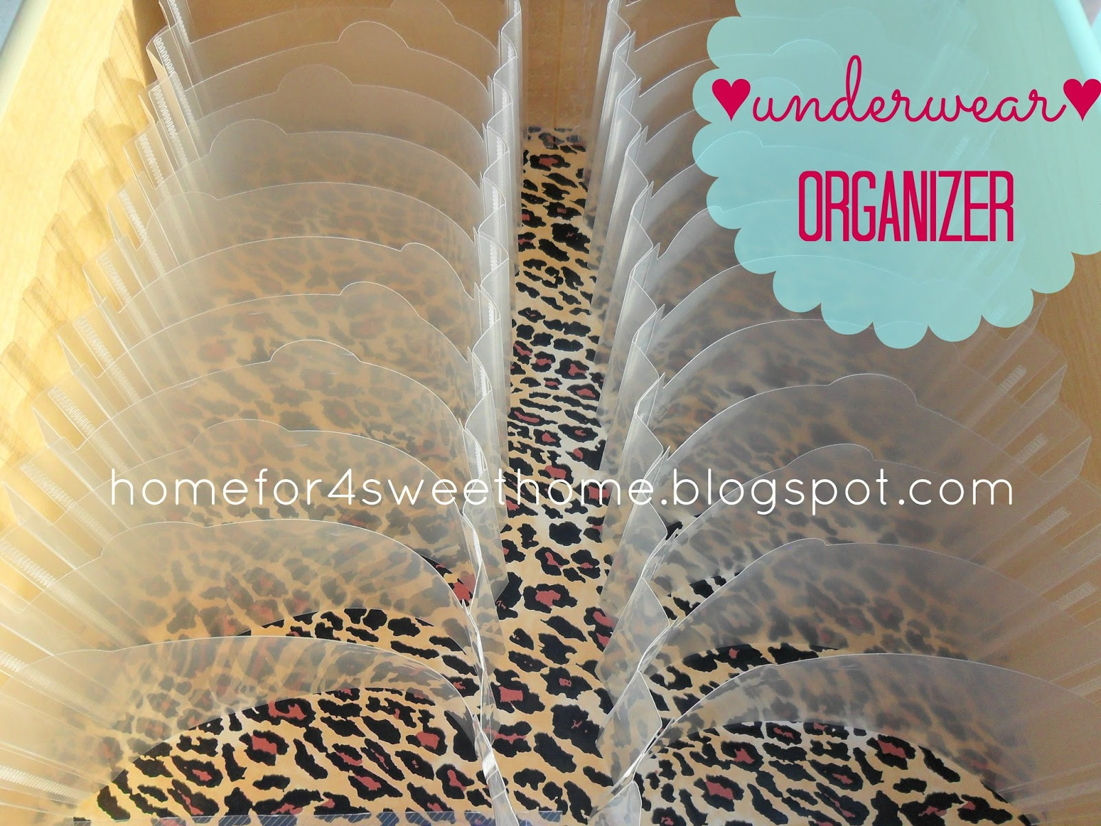 Underwear Organizer DIY
 Home For4 Sweet Home Spring Cleaning Organizing Underwear