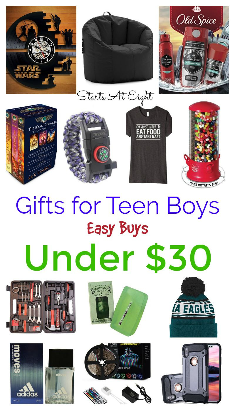 Valentine Gift Ideas For Teenage Guys
 Gifts for Teen Boys Easy Buys Under $30
