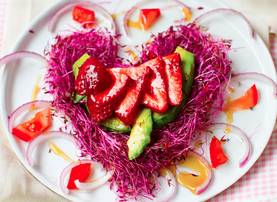 Vegan Valentine Recipes
 19 Vegan Valentine s Day Recipes to Swoon Over Vegan Recipe