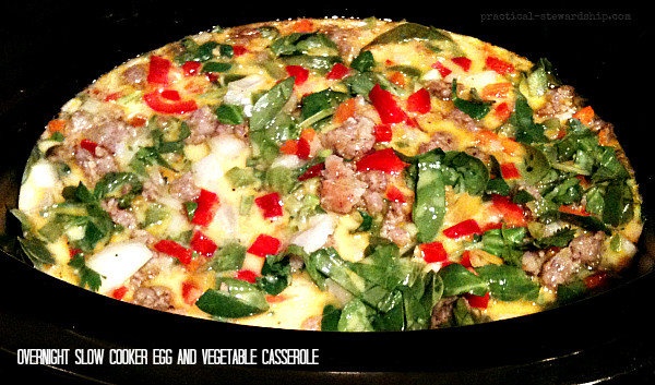 Vegetable Casserole Slow Cooker
 Slow Cooker Ve able & Egg Casserole Practical Stewardship