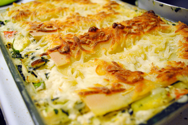 Vegetable Lasagna With White Sauce Carrots And Broccoli
 Veggie Lasagna with White Sauce I think I would add