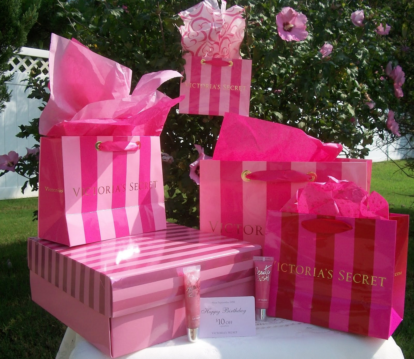 Victoria Secret Birthday Gift
 CHIC LUXURIES Victoria s Secret Almost Free Luxuries