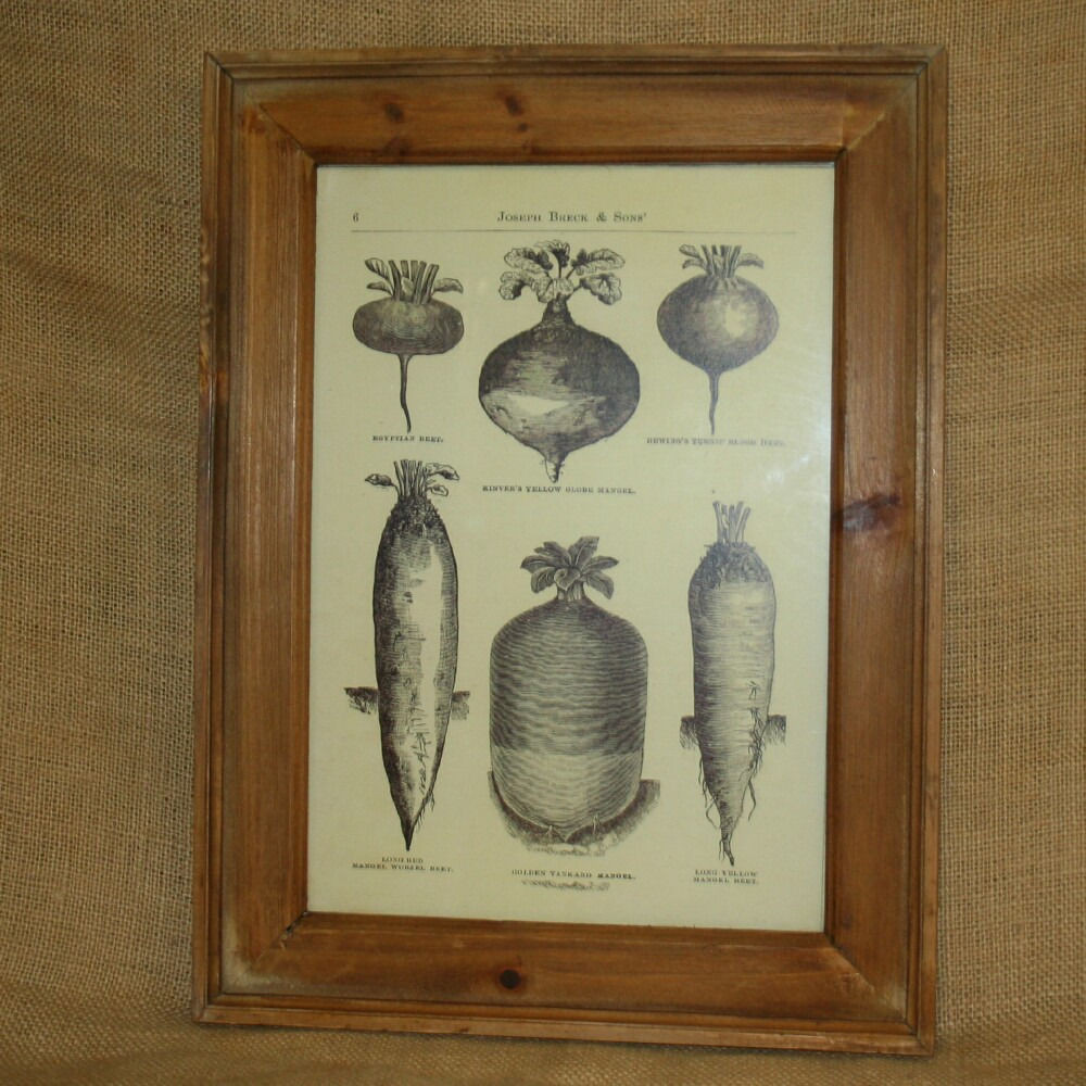 Vintage Kitchen Wall Decor
 Beet Wall Picture Ve ables Kitchen Wall Decor Plaque