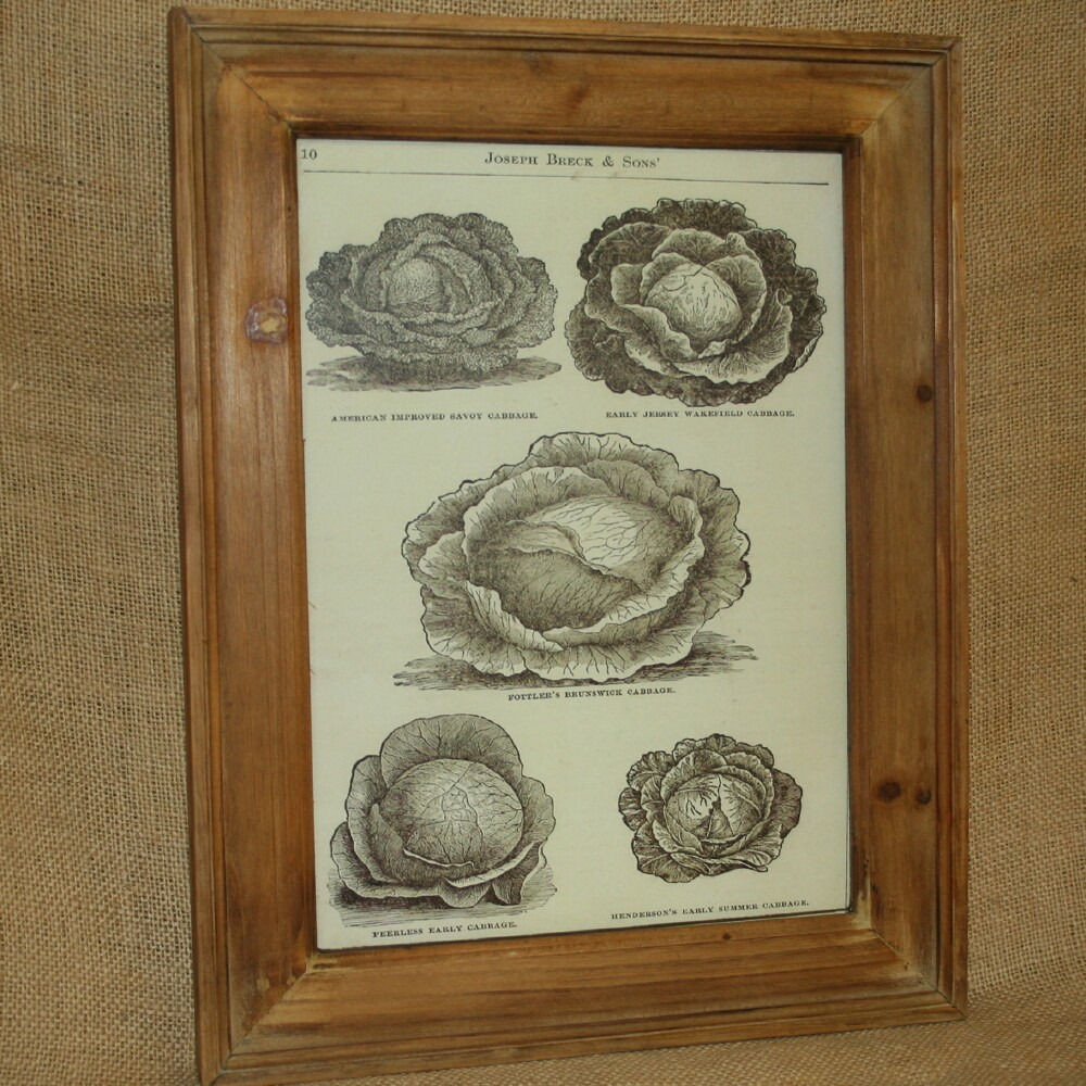 Vintage Kitchen Wall Decor
 Cabbage Wall Picture Vintage Advertisement Kitchen Wall