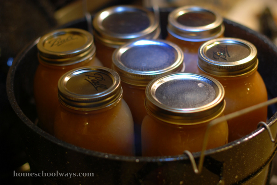 Water Bath Canning Applesauce
 Fall Traditions Canning Applesauce Homeschool