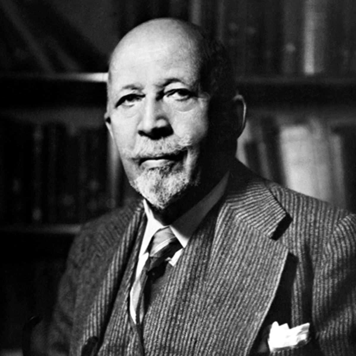 Web Dubois Education Quotes
 W E B Du Bois Quotes Books & Education Biography