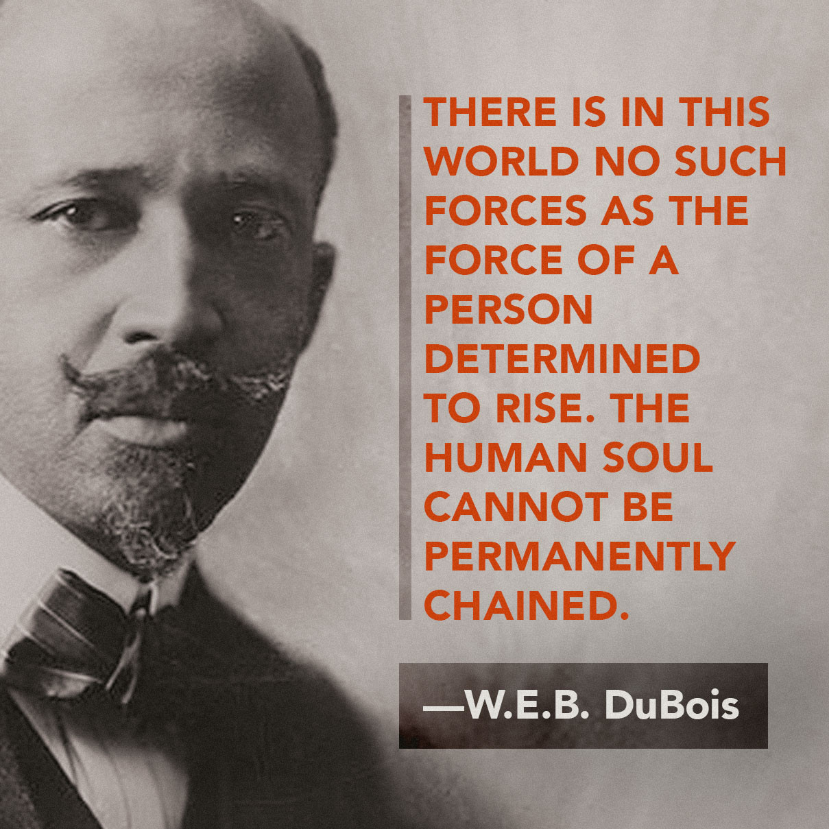 Web Dubois Education Quotes
 BLACK HISTORY QUOTES ON EDUCATION image quotes at