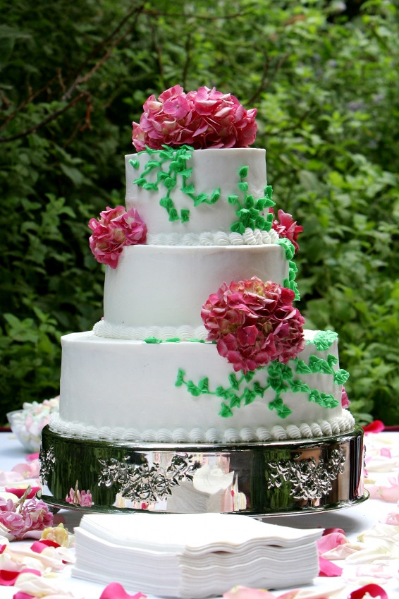 Wedding Cake Decorating Ideas
 Wedding Cake Decorating Ideas Easy Wedding Cake