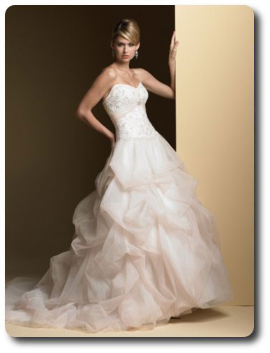 Wedding Gowns For Rent
 bride