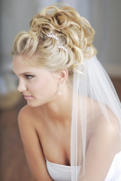 Wedding Hair Updo With Veil
 Wedding updos for long hair with vei