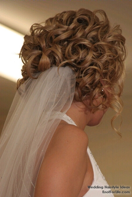 Wedding Hairstyles For Curly Hair With Veil
 Curly Wedding Hairstyle with Veil Knot For Life