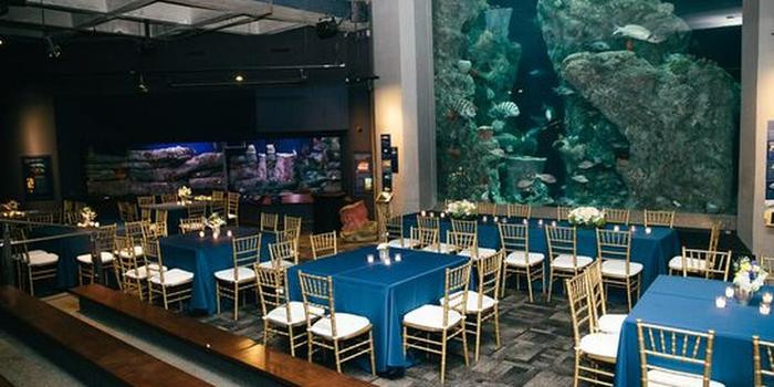 Wedding Venues In Charleston Sc
 South Carolina Aquarium Weddings