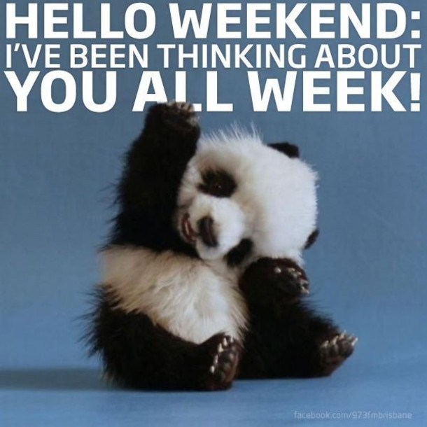 Weekend Funny Quotes
 14 Hello Weekend Quotes To Start Your Weekend