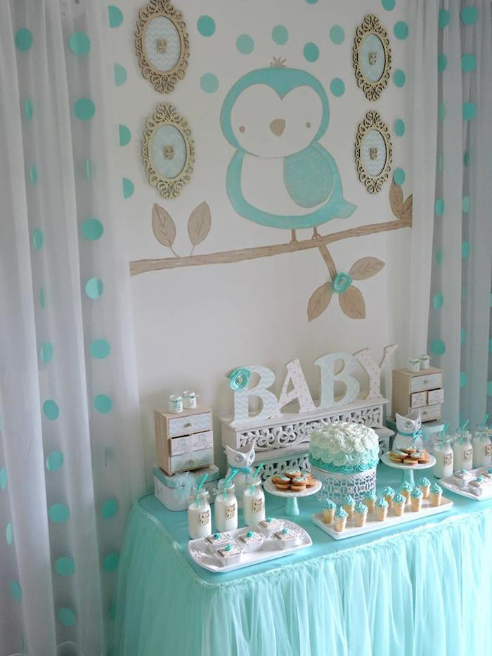 Welcome Baby Boy Party Ideas
 Kara s Party Ideas Turquoise Owl “Wel e Home Baby