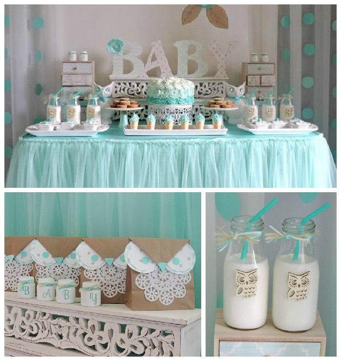 Welcome Baby Boy Party Ideas
 Turquoise Owl "Wel e Home Baby" Party