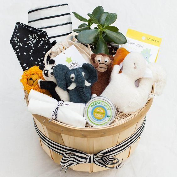 Welcome Baby Gift Ideas
 25 einzigartige Präsentkorb für Babys Ideen auf Pinterest