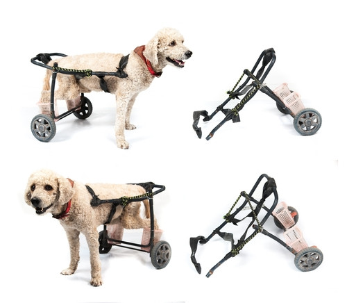 Wheelchair For Dogs DIY
 Build A Dog Wheel Chair Goldenacresdogs