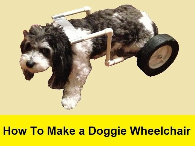 Wheelchair For Dogs DIY
 How To Make a Doggie Wheelchair for $25