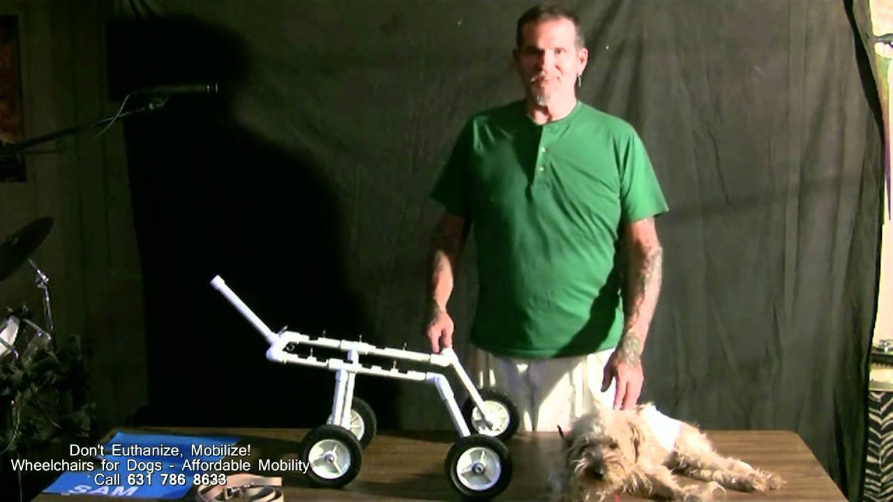 Wheelchair For Dogs DIY
 Wheelchairs for Dogs