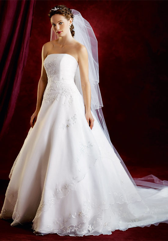 White Wedding Gown
 Big White Wedding Dress Designs Wedding Dress